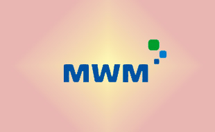 ✓ MWM 0403 3134 Запчасть MWM 